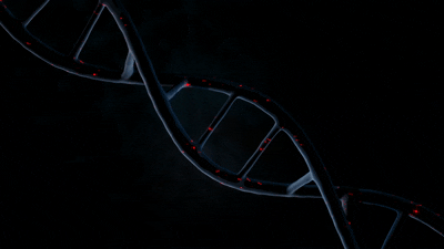 background animation